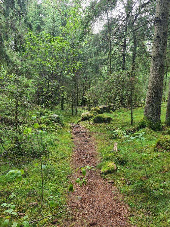 Stuga I Naturen Simlångsdalen Extérieur photo