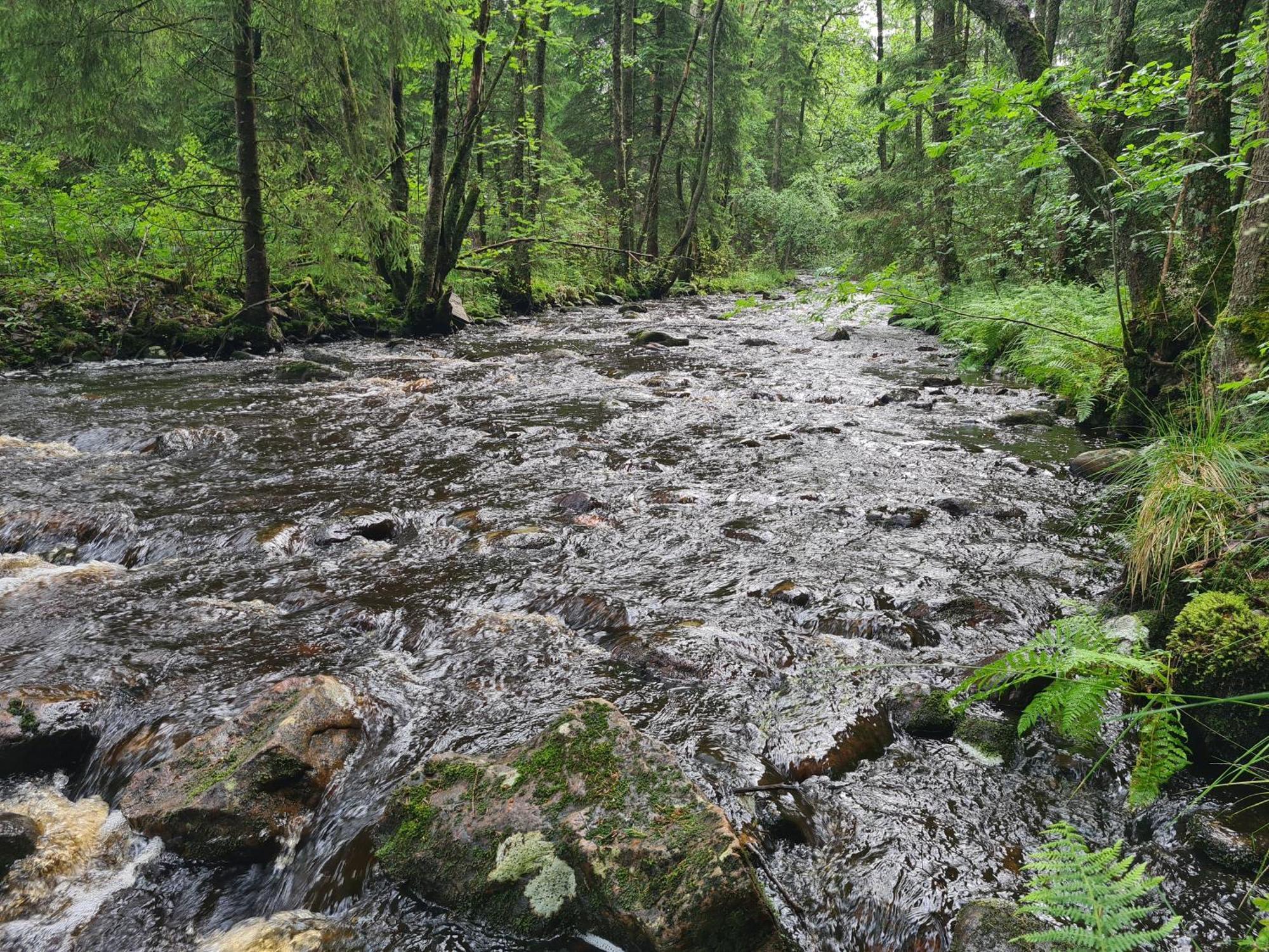Stuga I Naturen Simlångsdalen Extérieur photo